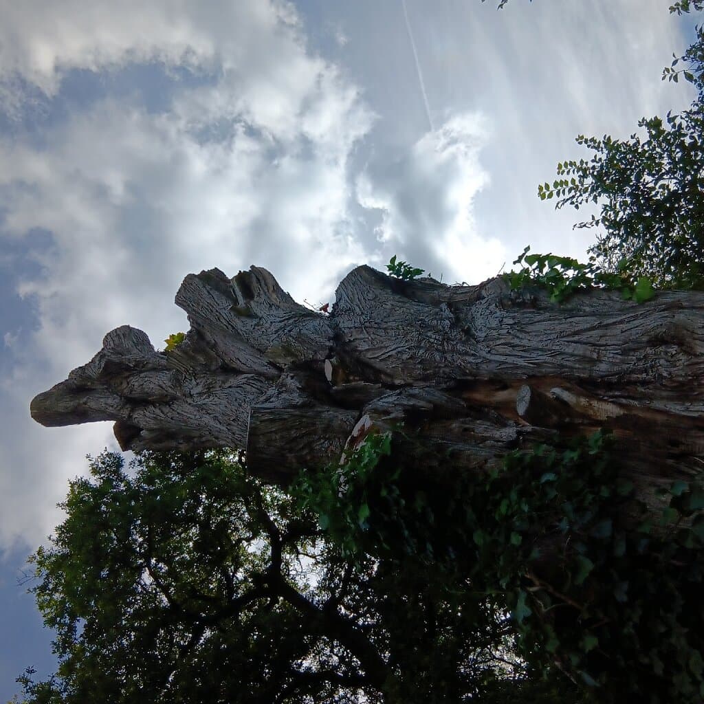 Parc de la Gournerie