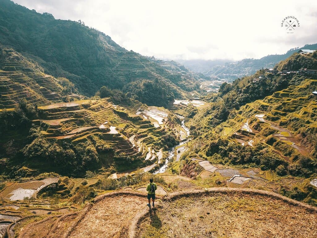 Banaue Rice Terraces
