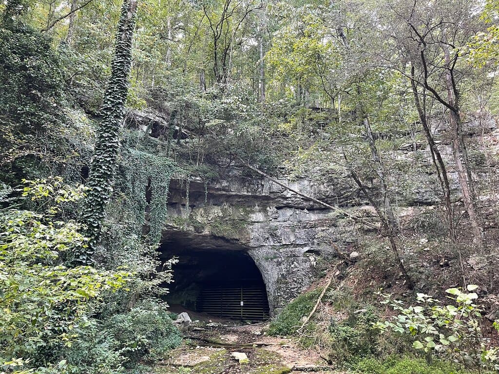 Hambrick Cave Bat Viewing by Boat