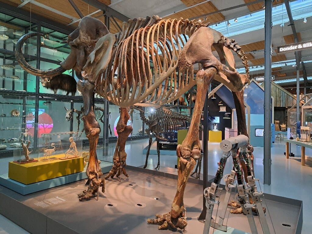 De Museumfabriek Enschede