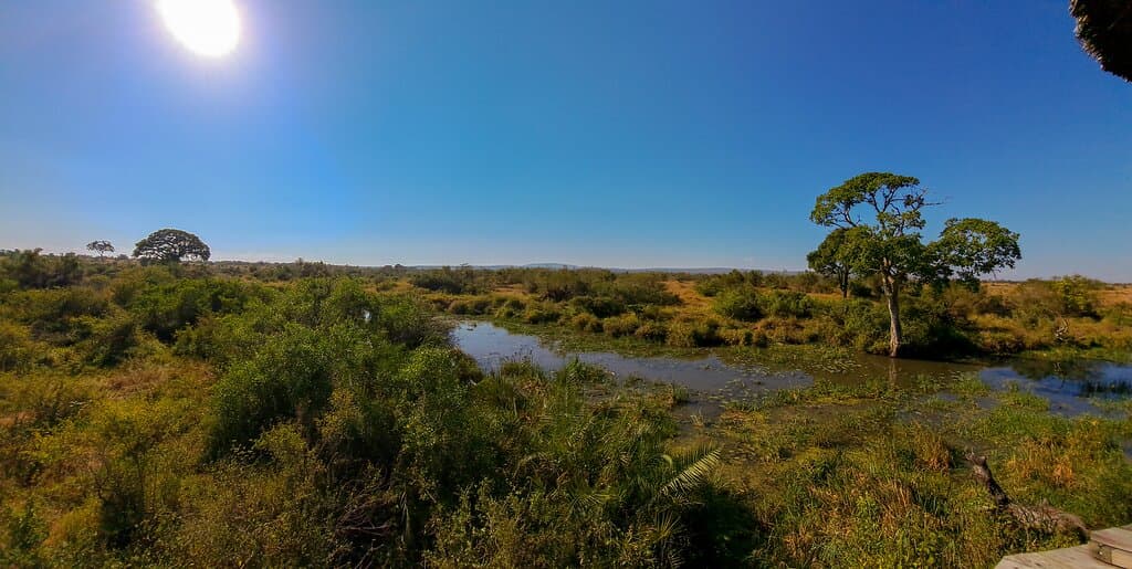 Nthandanyathi Bird Hide