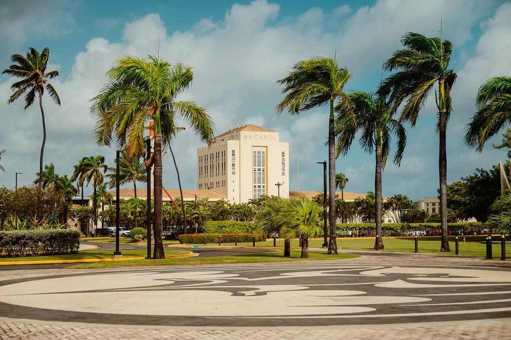 The Cathedral of Rum.