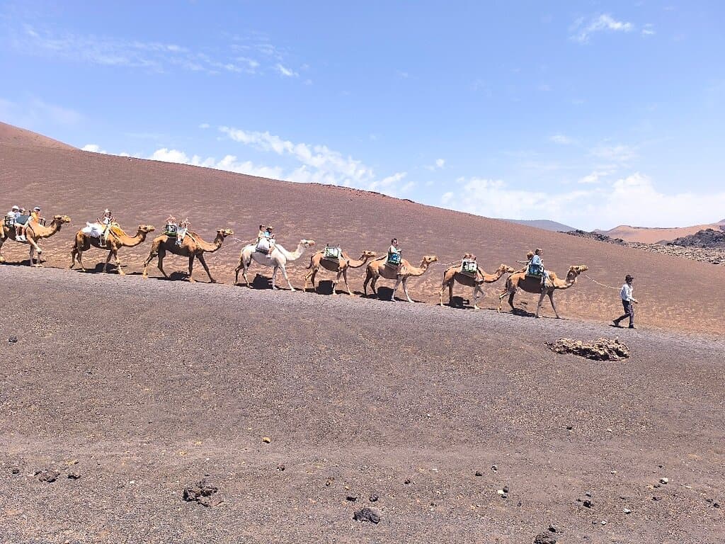 Echadero de Camellos Timanfaya