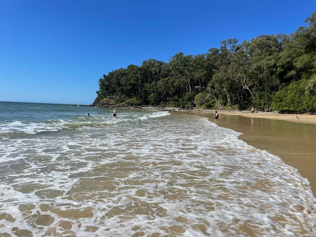 Little Cove Beach Noosa Heads