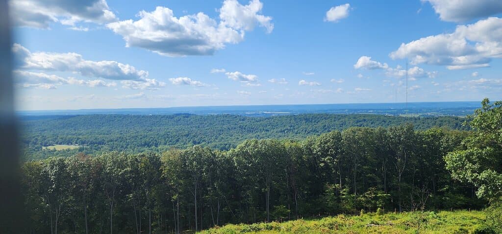 Governor Dick Park and Observation Tower