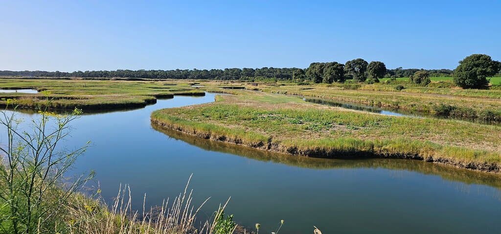 Marais de la Guittière