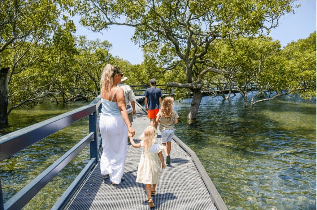 Explore the mangrove estuary – without getting your feet wet! The Mangrove Boardwalk allows everyone to get up close to thhe mangroves, birds and sea creatures living in this pristine marine sanctuary.  