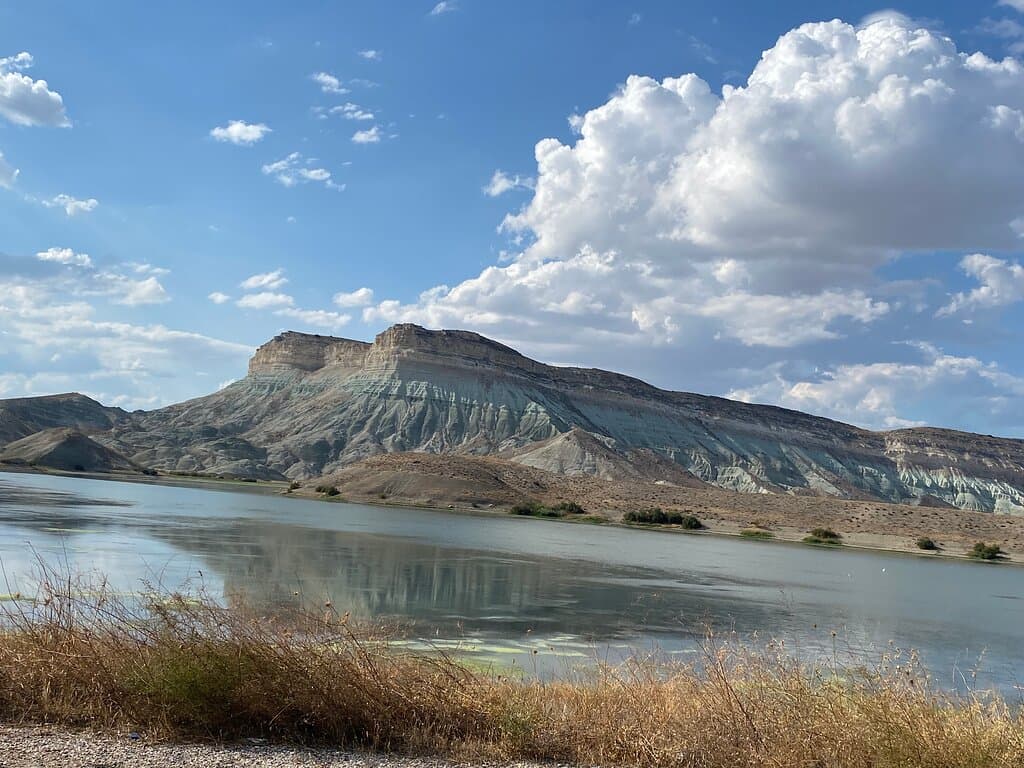 Erçek Lake Bird Sanctuary