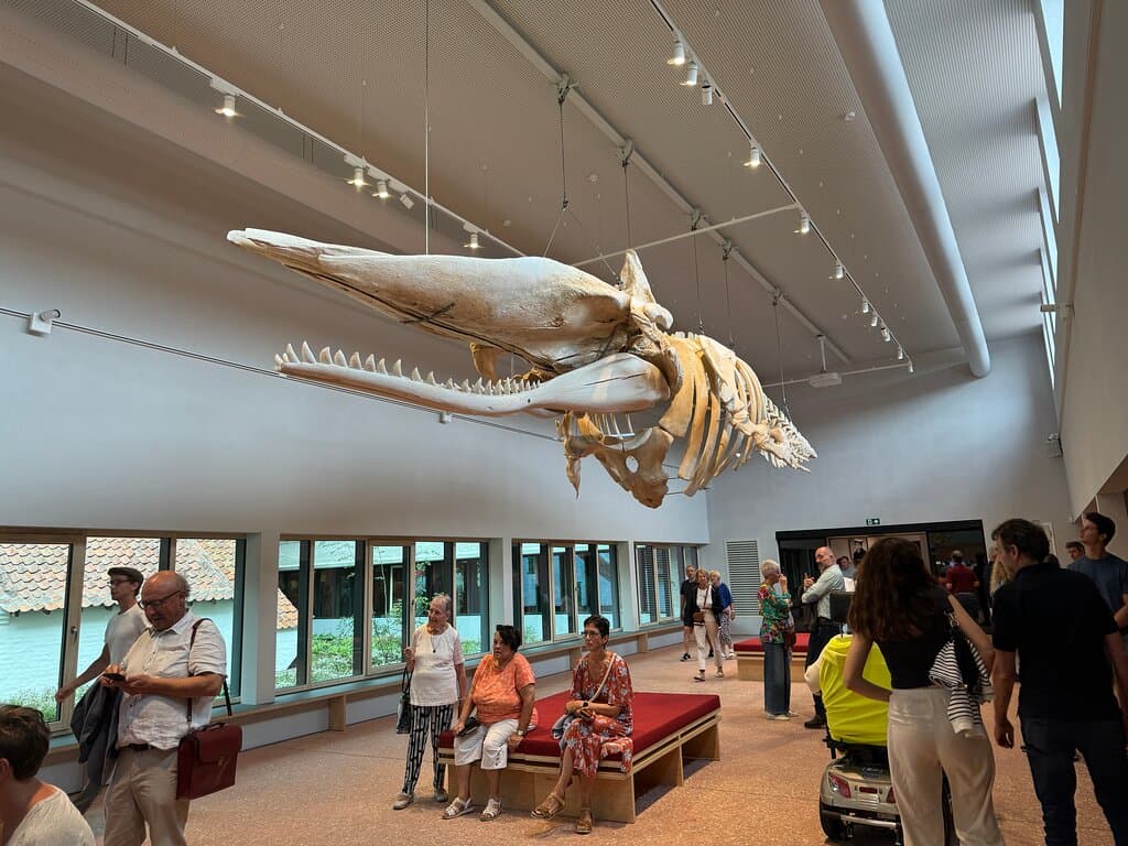 NAVIGO Fisheries Museum