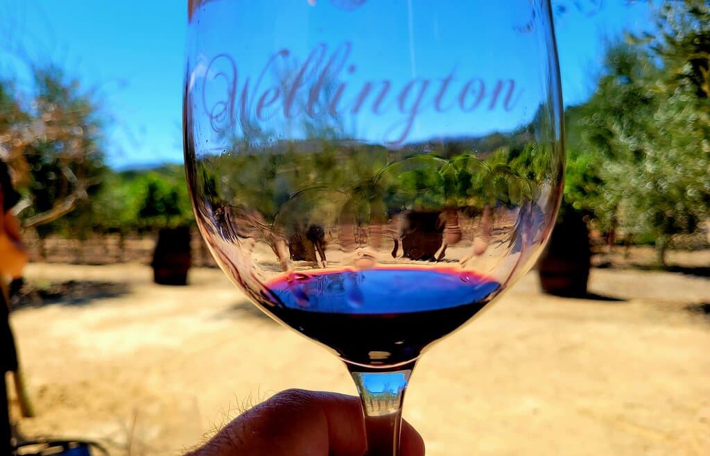 Great wine across the group.