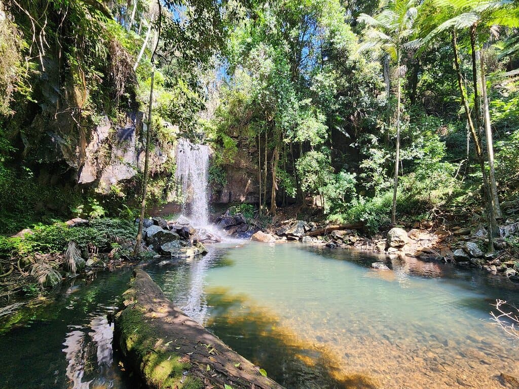 Cameron Falls