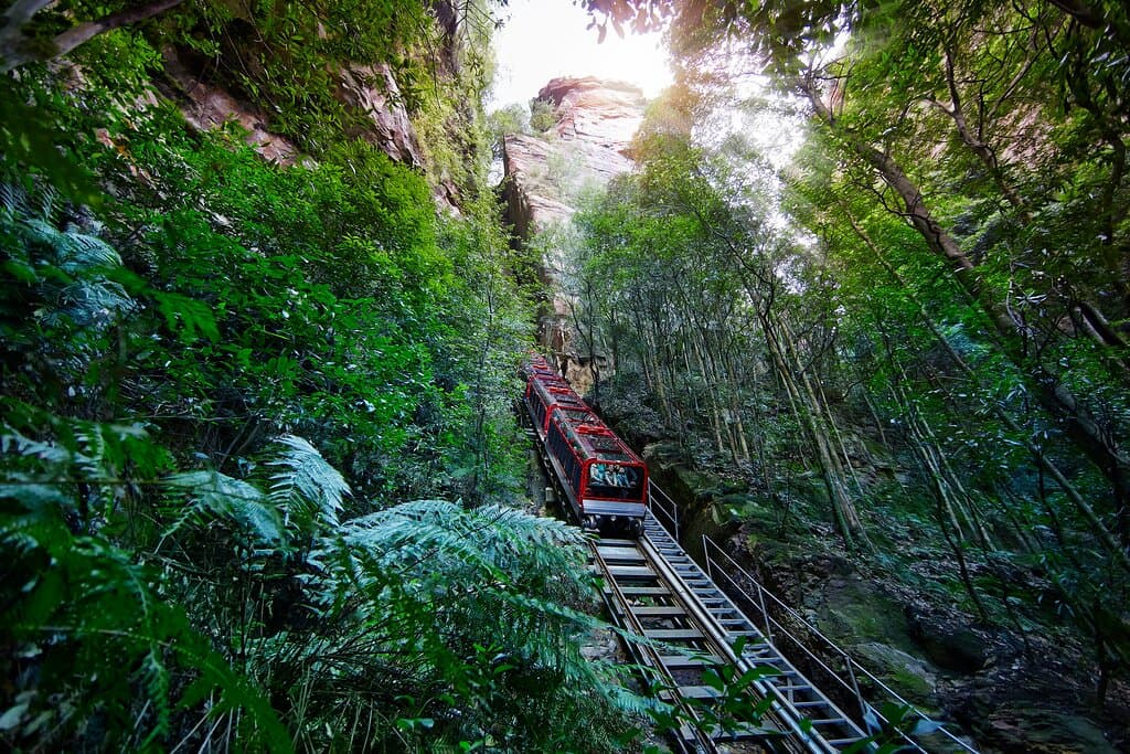 Scenic Walkway