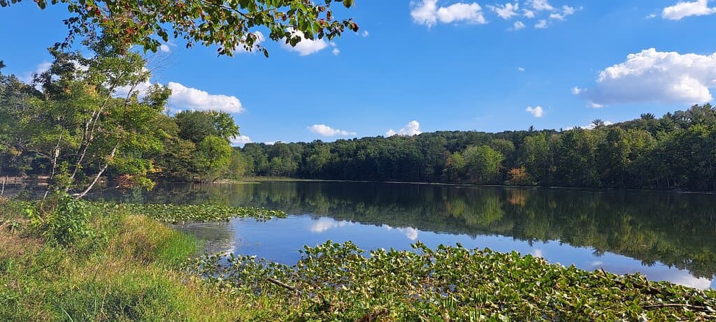 Lincoln State Park