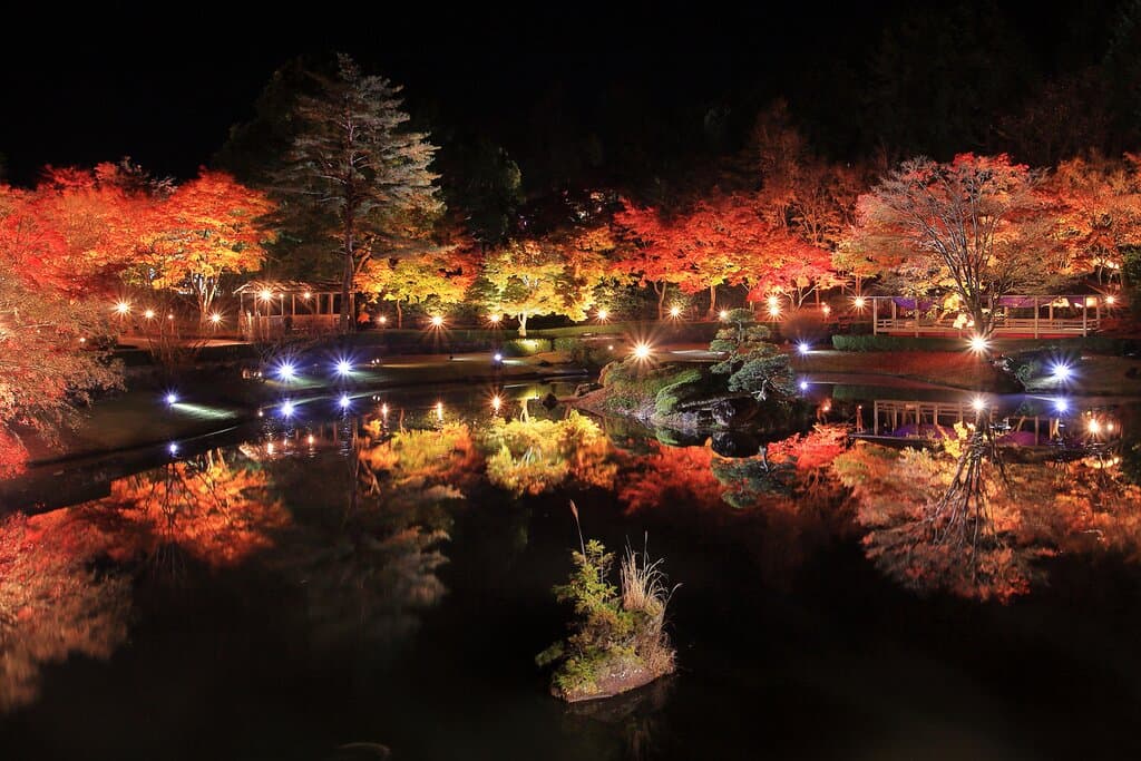 紅葉ライトアップ