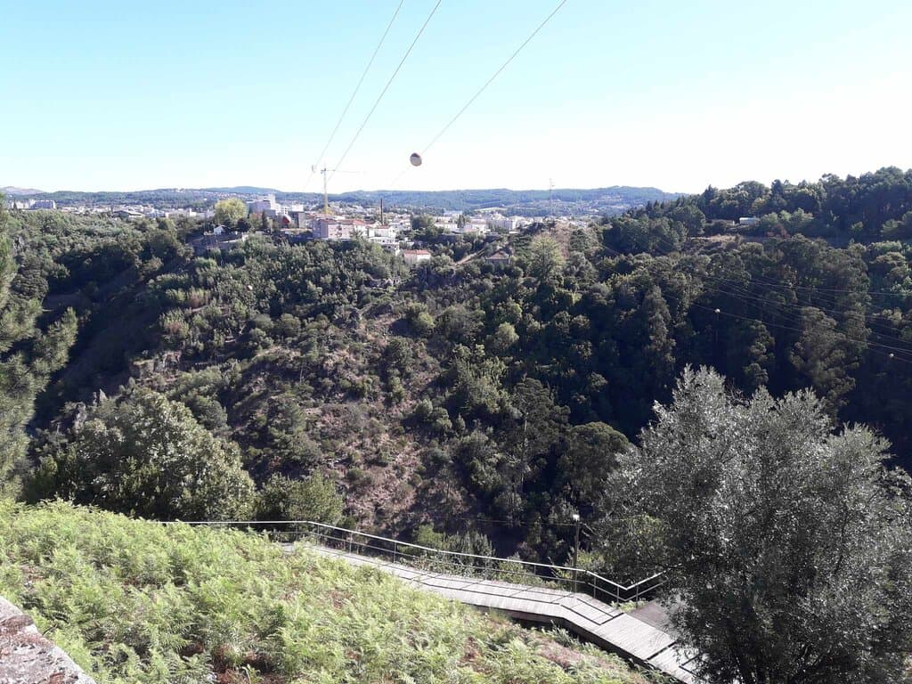 Vista
