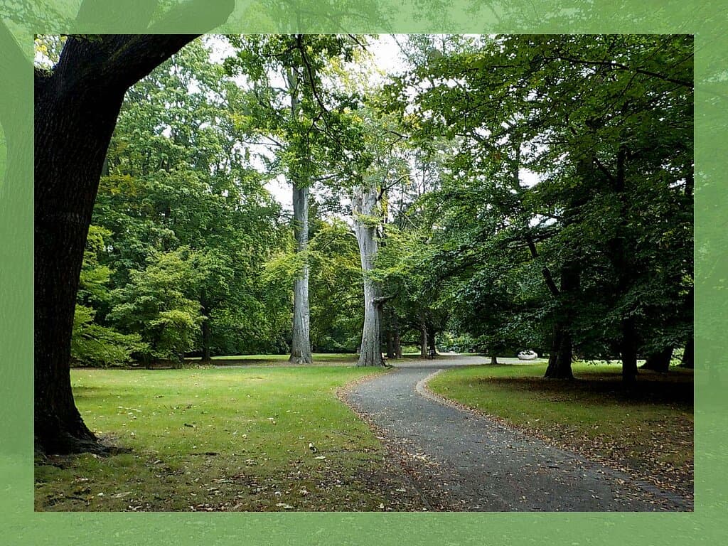 lawns and trees