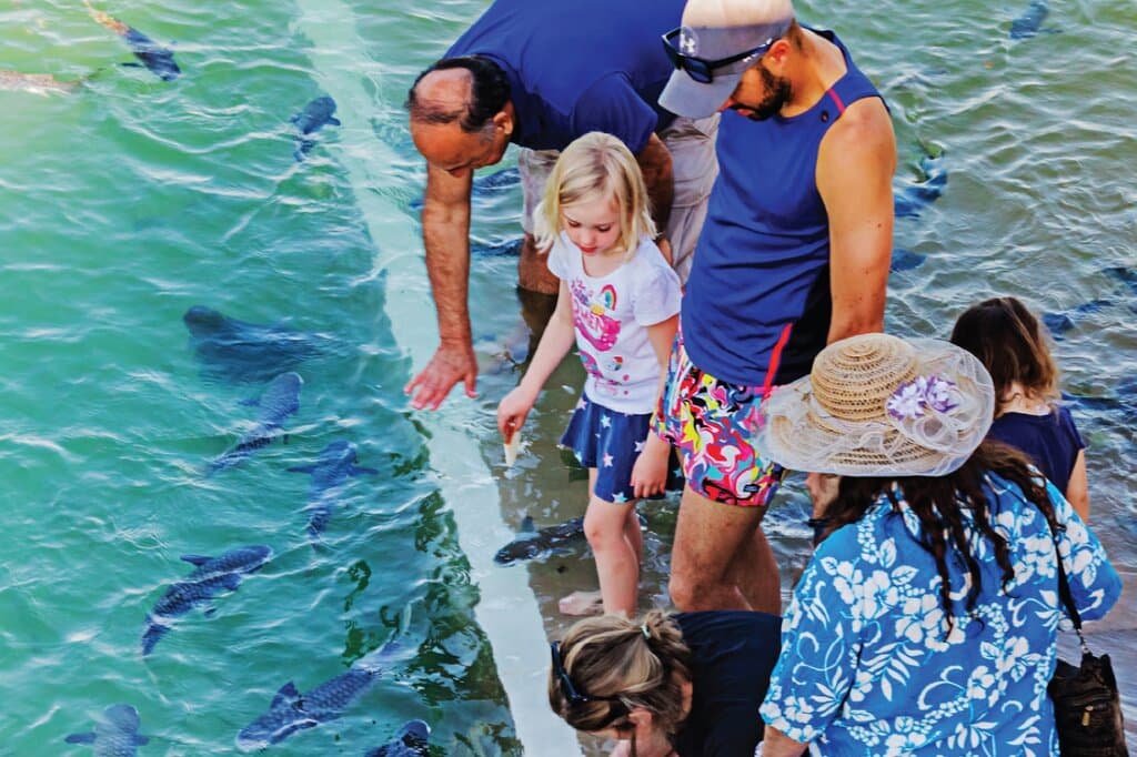 Feed the fish wtihyour fingers as they tickle your toes. Fun for all ages of the family