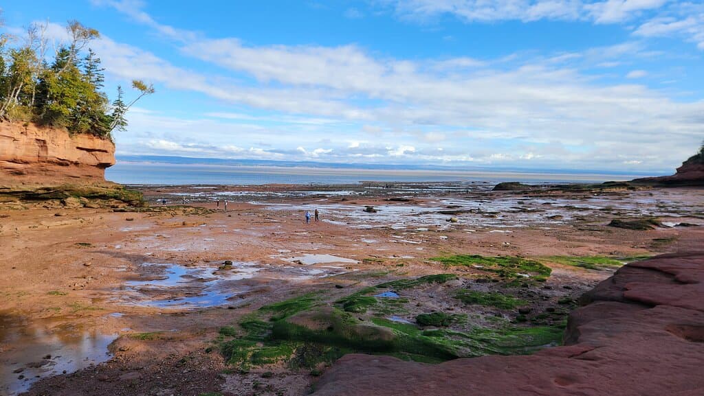 The bottom at low tide