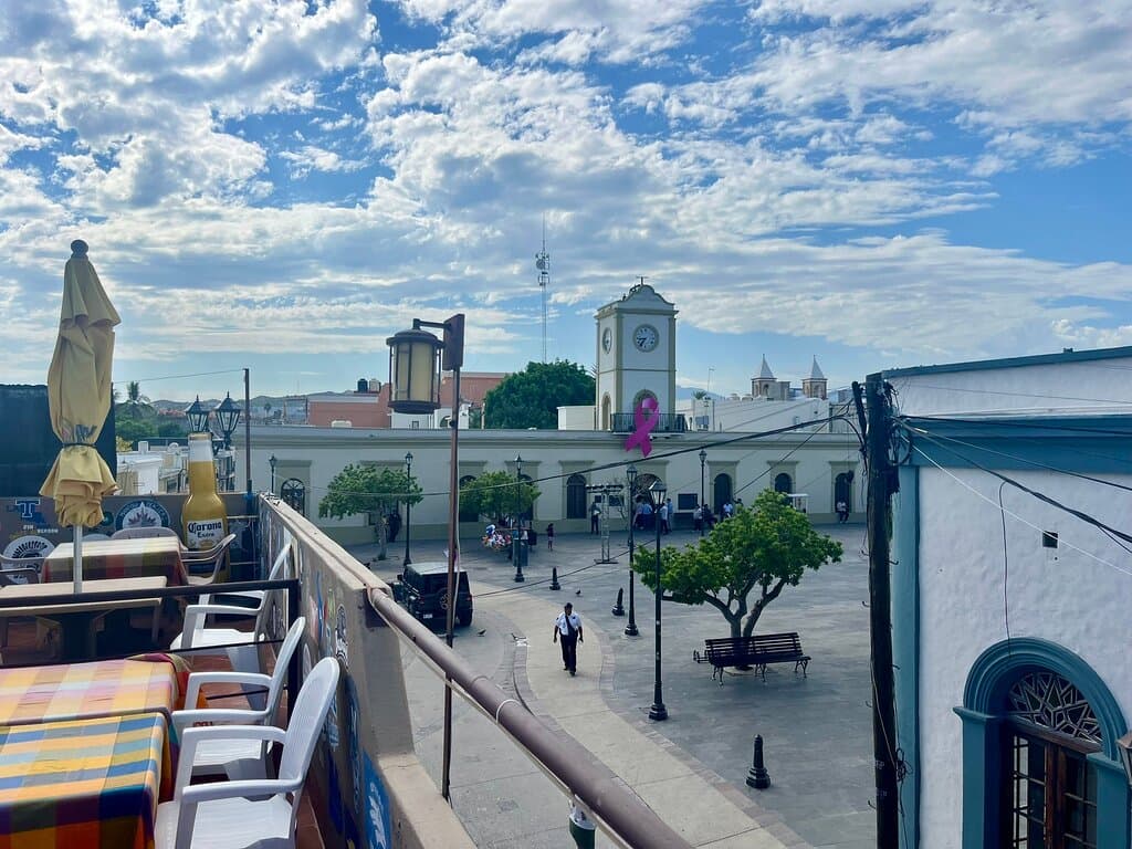 San José Organic Market