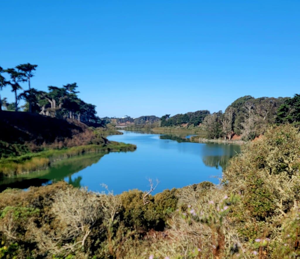 Lake Merced