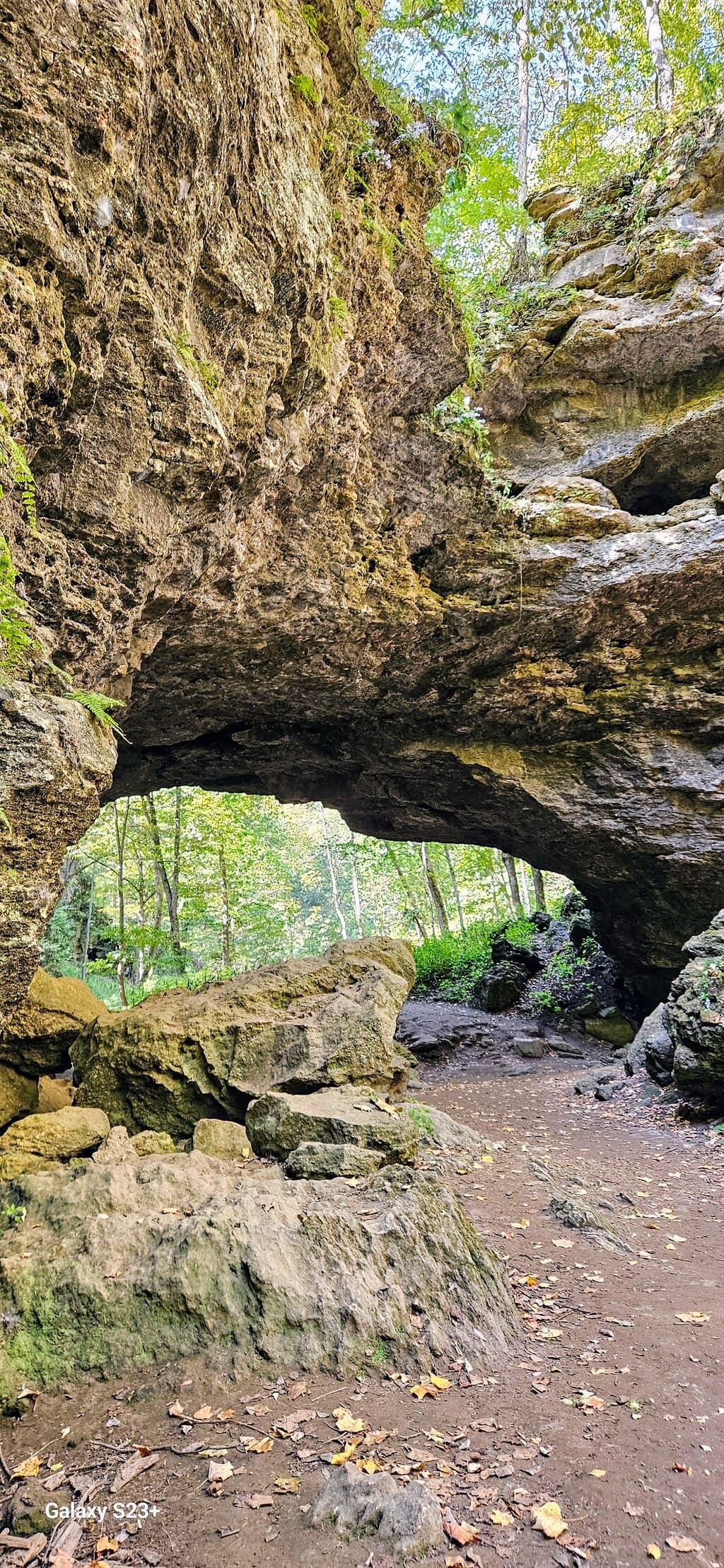 Maquoketa Caves State Park