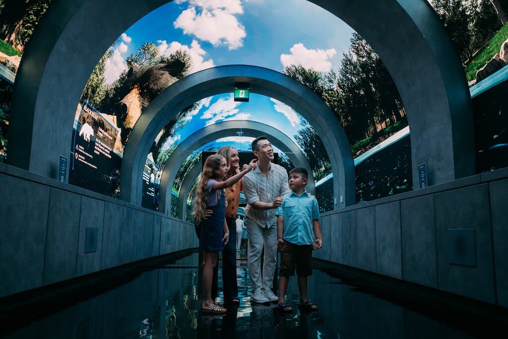 Curved LED Biodiversity Tunnel - Forest Scene