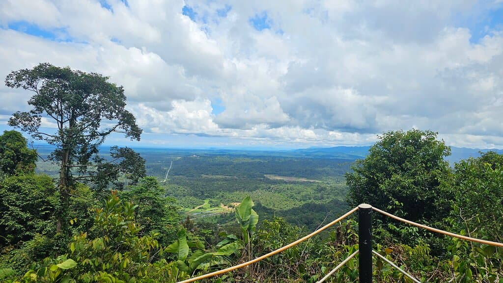 View from the top