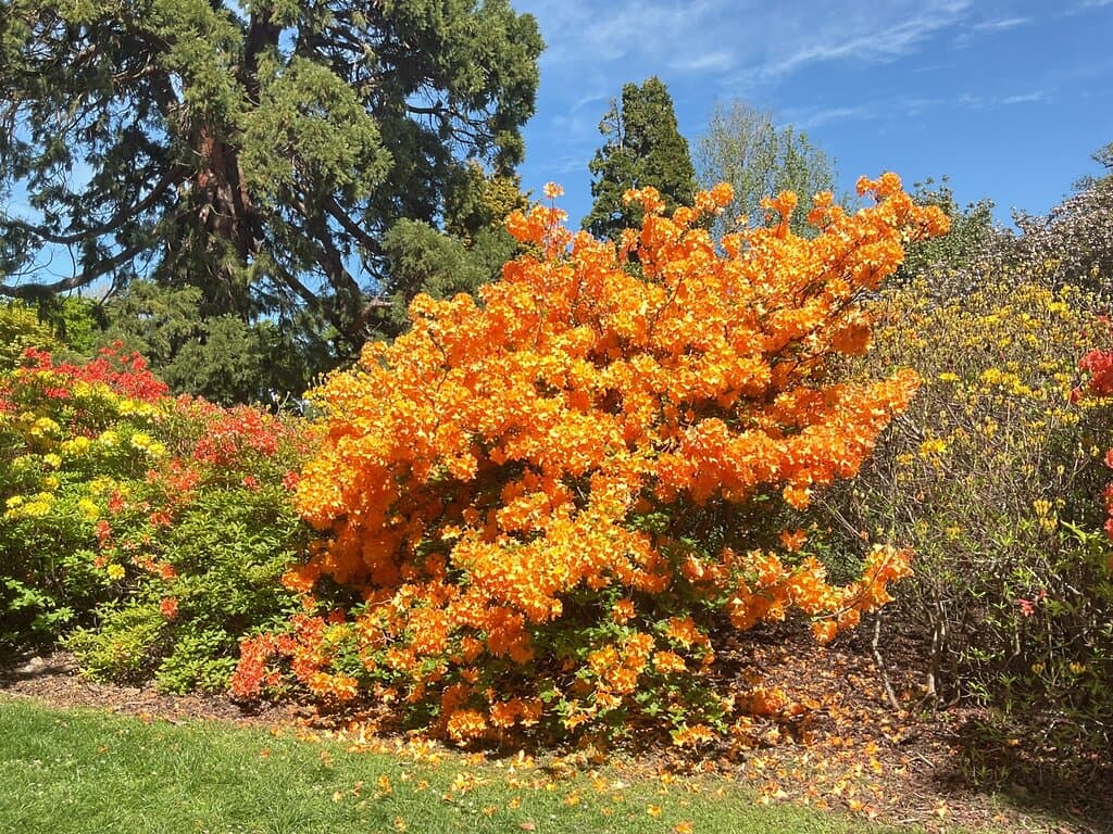 Ilam Gardens University of Canterbury Christchurch
