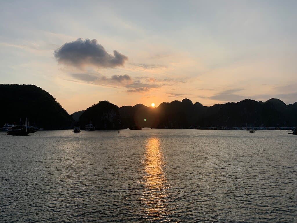 Cat Sunset Video | TikTok, image size:1024x768