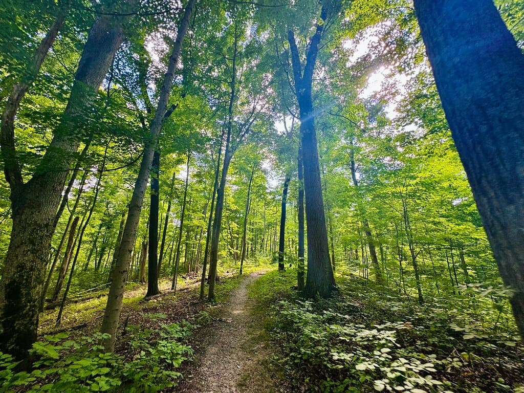Cincinnati Nature Center Rowe Woods