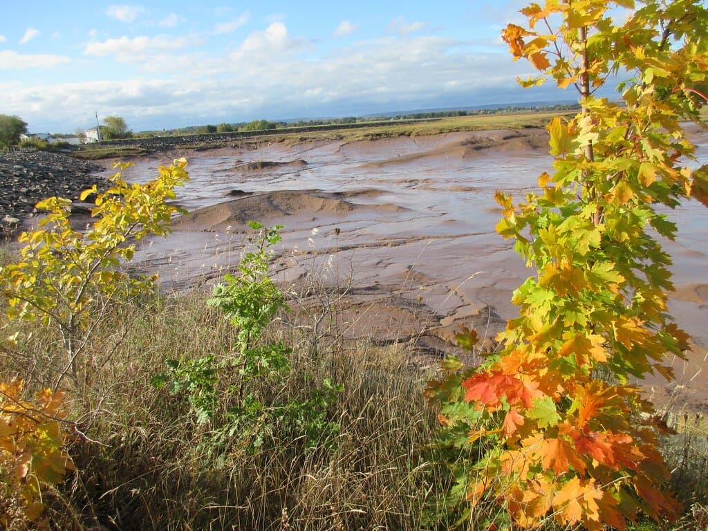 View from the trail at Wolfville, overlooking the mud at low tide.