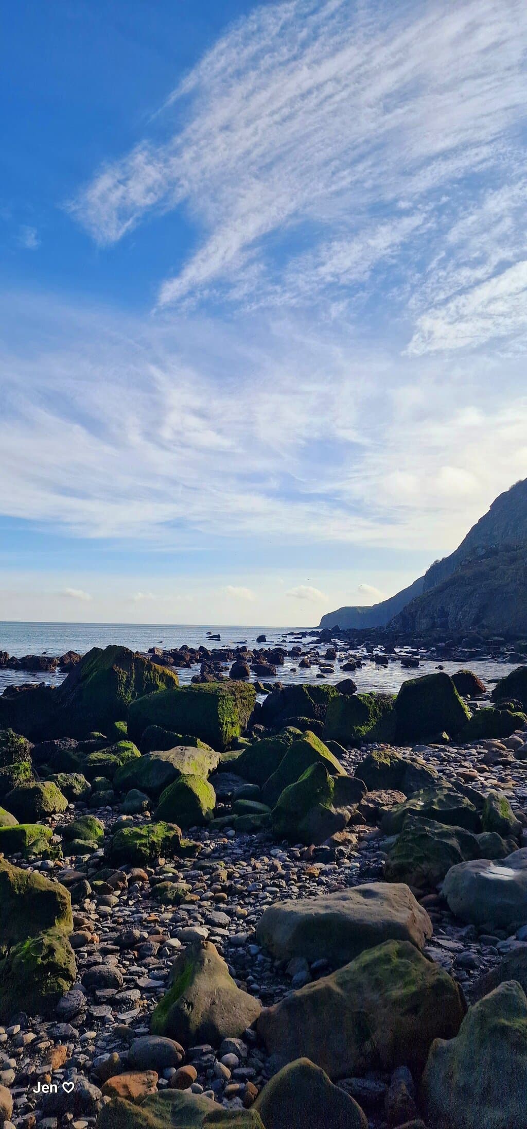Ravenscar seal colony