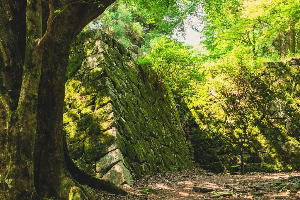 大手門前の石垣は苔で覆われて、神秘的な光景です。