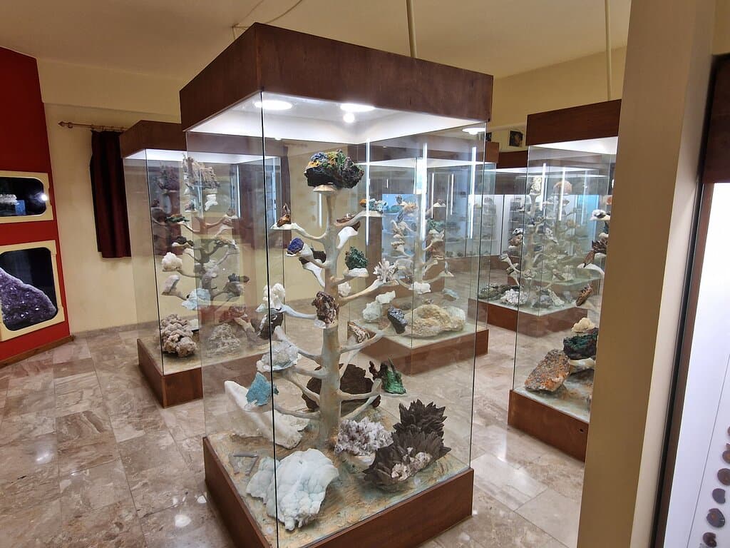 Natural History Museum Lygourio