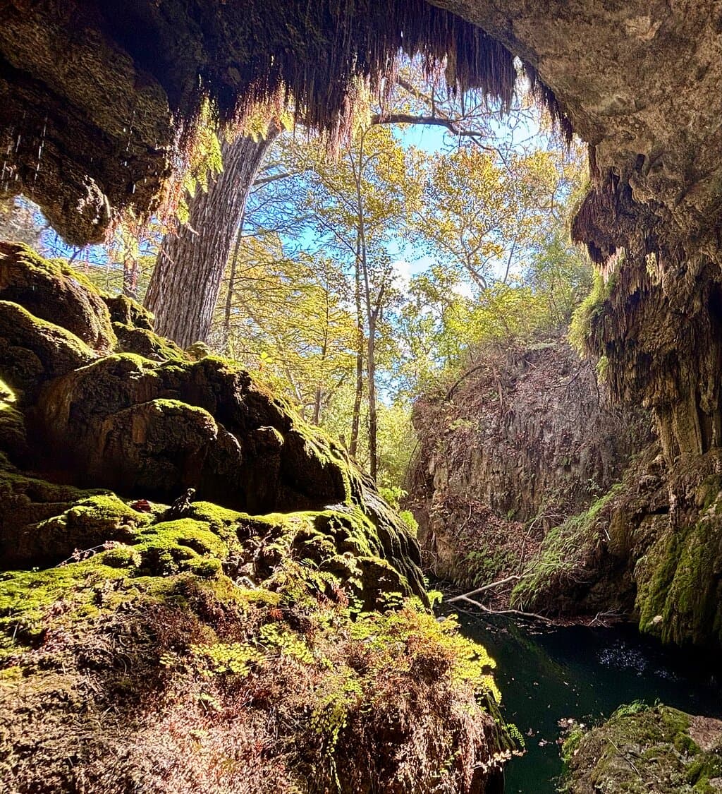 Westcave Preserve