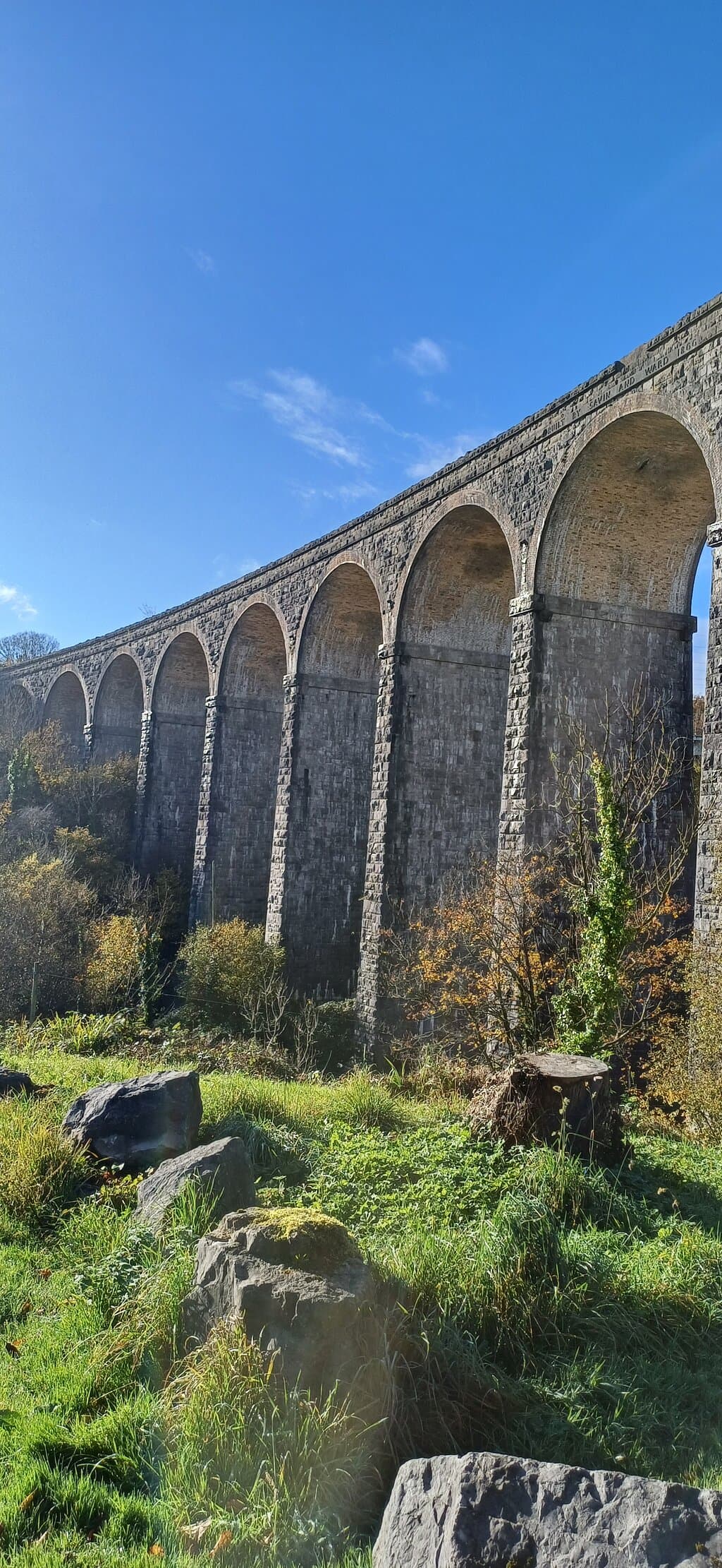 Cefn Coed Viaduct