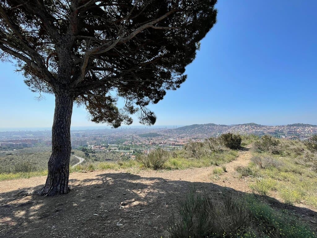 Serra de Collserola