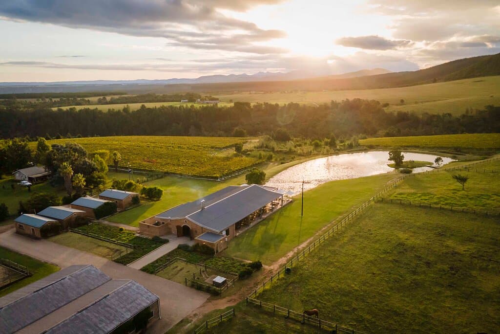 Kay & Monty Vineyards