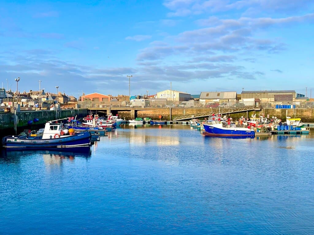 This is one of the largest harbours in Scotland , with what amounts to over 3 kilometres of berthing space - so there’s always plenty of vessels to look at.