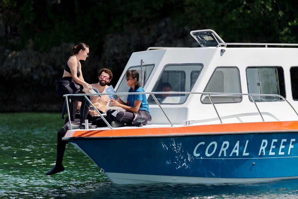 Verde Island San Agapito Reef