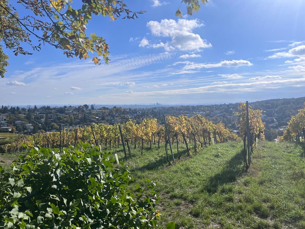 Vienna Woods hiking trail #2