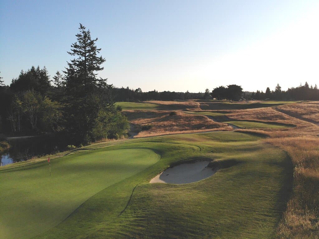 Summertime view of the  par 3 number 17 green with 18 tees and fairway beyond