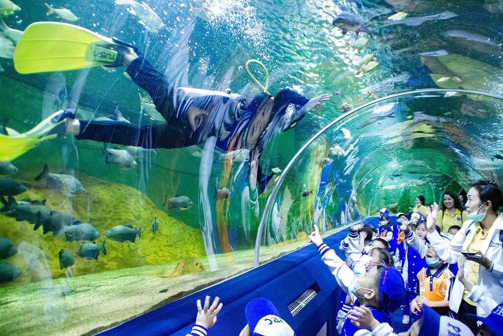 Chiangmai Zoo Aquarium the first Aquarium Center in the Southeast Asian region with a large underwater tunnel and longest in the world.