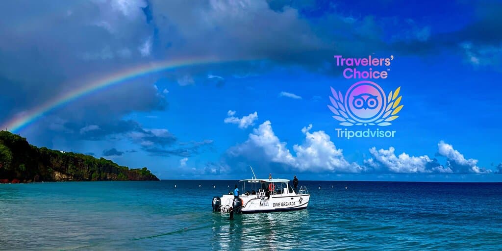 A beautiful day to dive on the new boat Wreckreation!