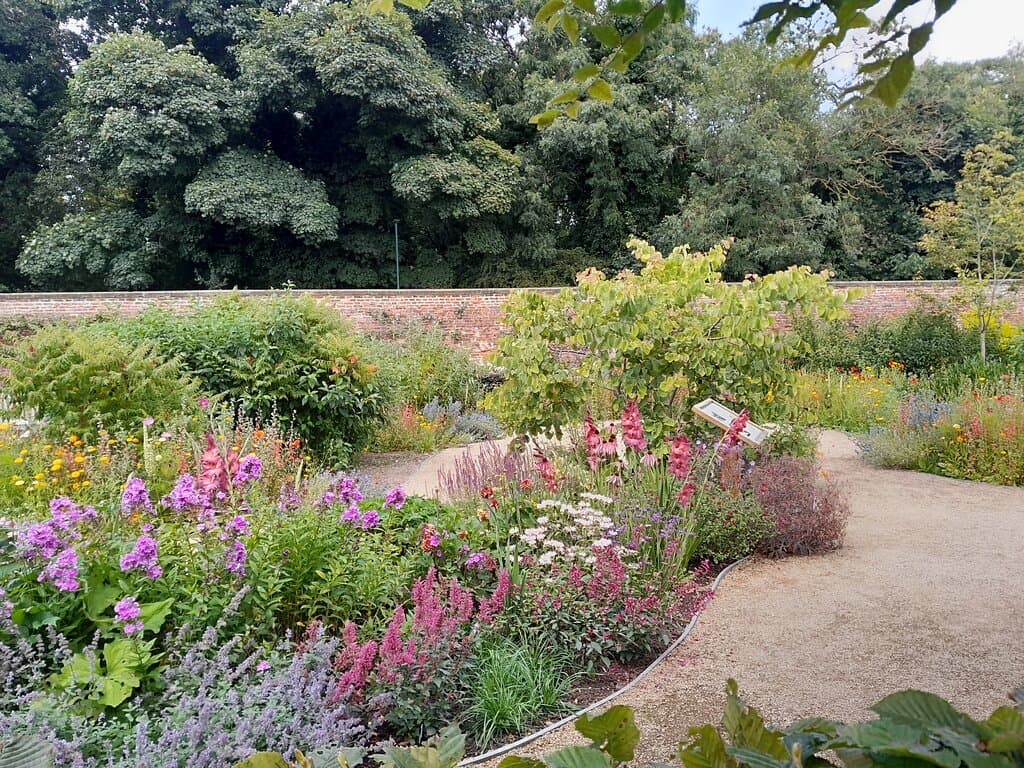 Great planting