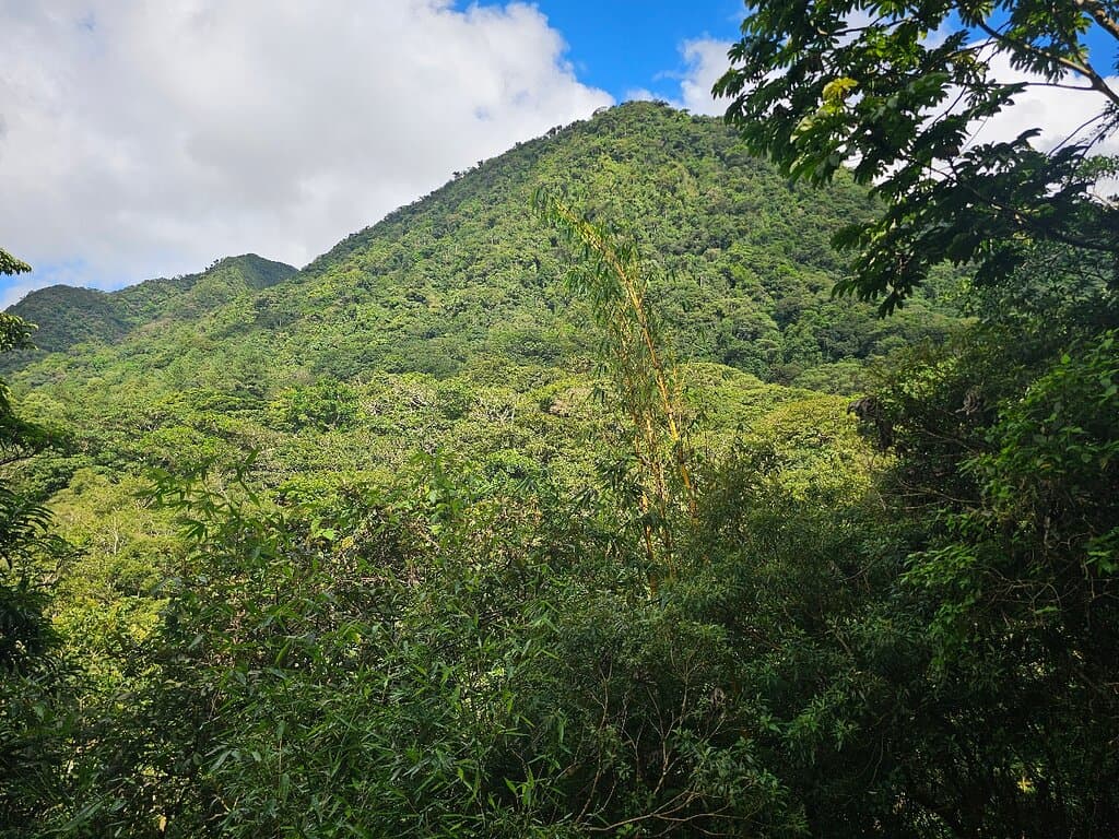 EVACC El Valle de Anton