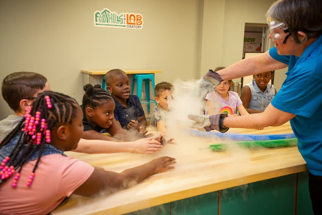 Foothills Collaboratory Program