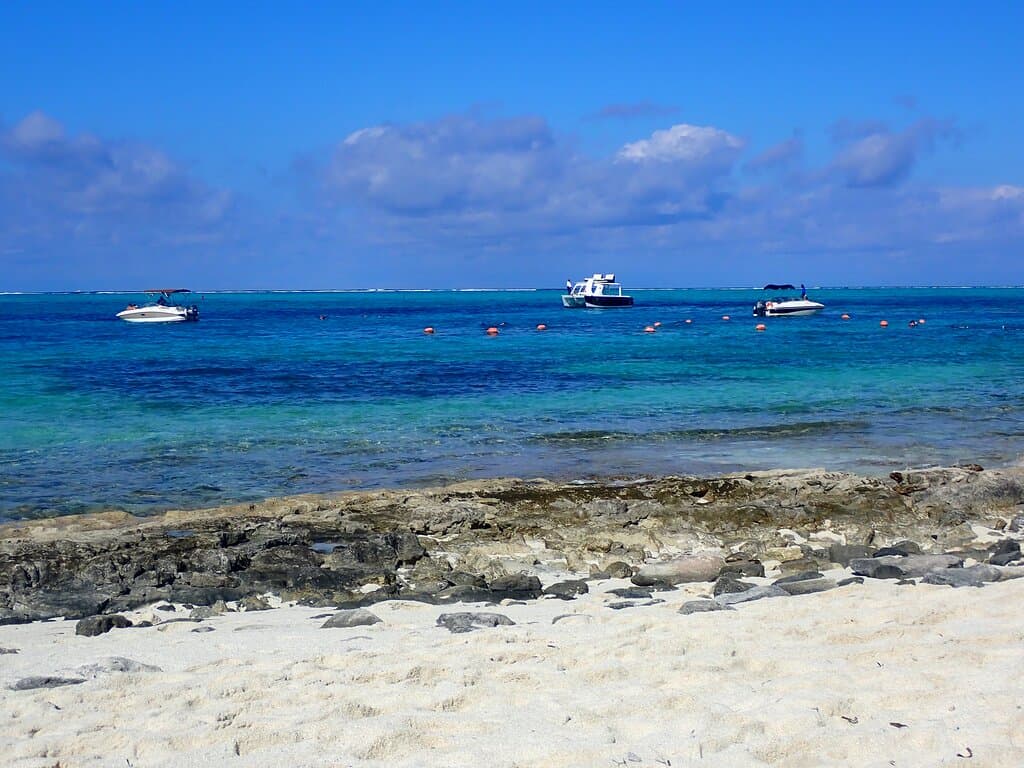 Smith's Reef Providenciales