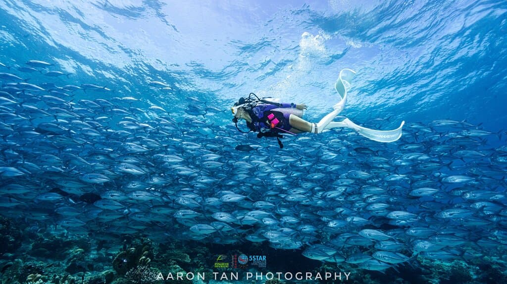 Dive with Fisheye Divers, the top-rated PADI 5-Star Instructor Development Course Dive Center on Boracay Island