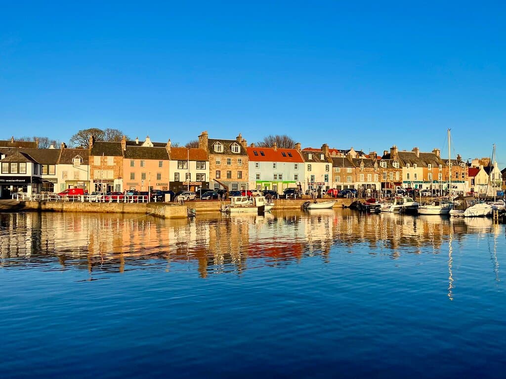 The crisp, bright, Winter sunshine throws everything into sharp focus.